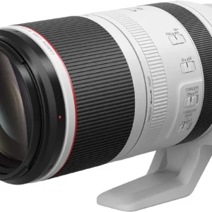 Canon RF 100-500mm Lens